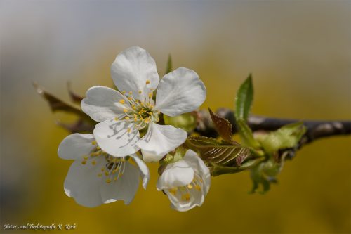 B-Bild-100