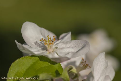 B-Bild-91