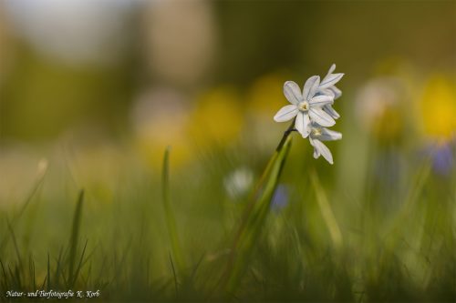 B-Bild-95