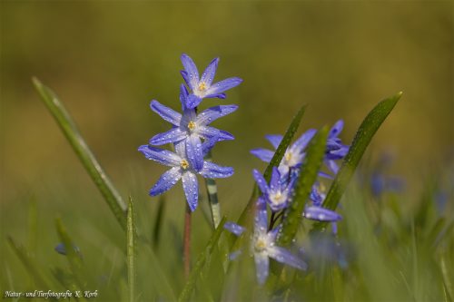 B-Bild-96
