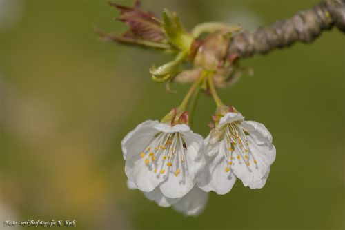 B-Bild-97
